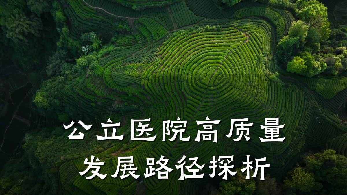 公立医院高质量发展路径探析