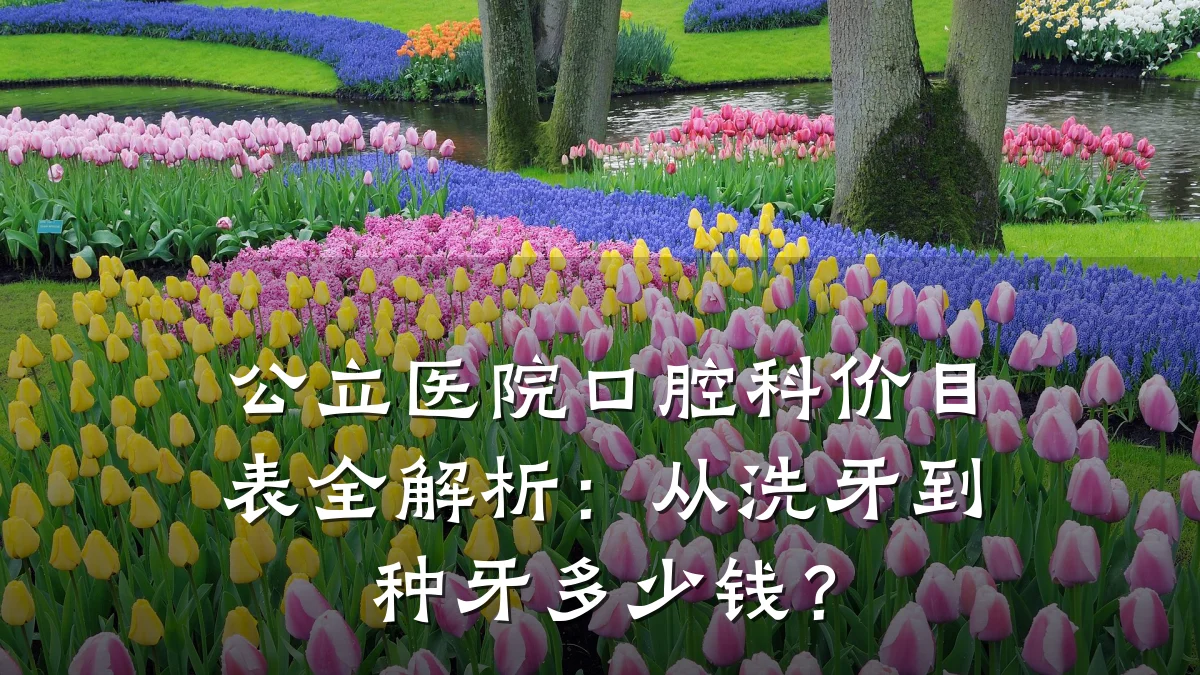 公立医院口腔科价目表全解析:从洗牙到种牙多少钱?