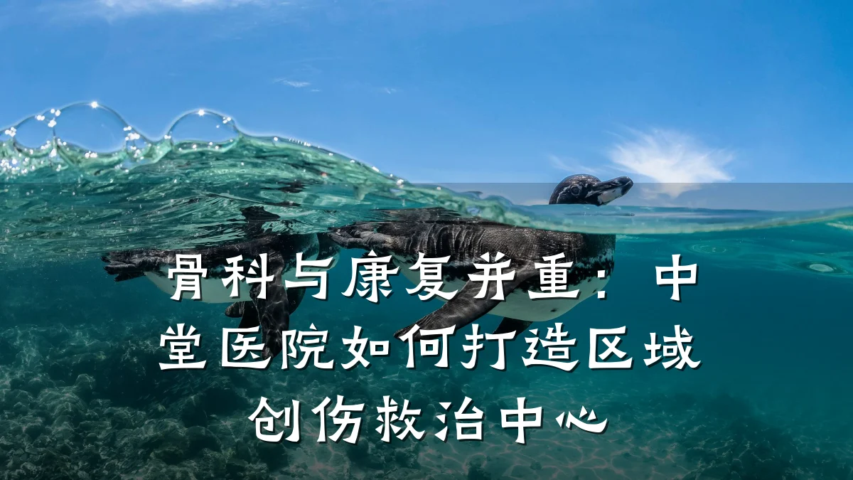 骨科与康复并重:中堂医院如何打造区域创伤救治中心
