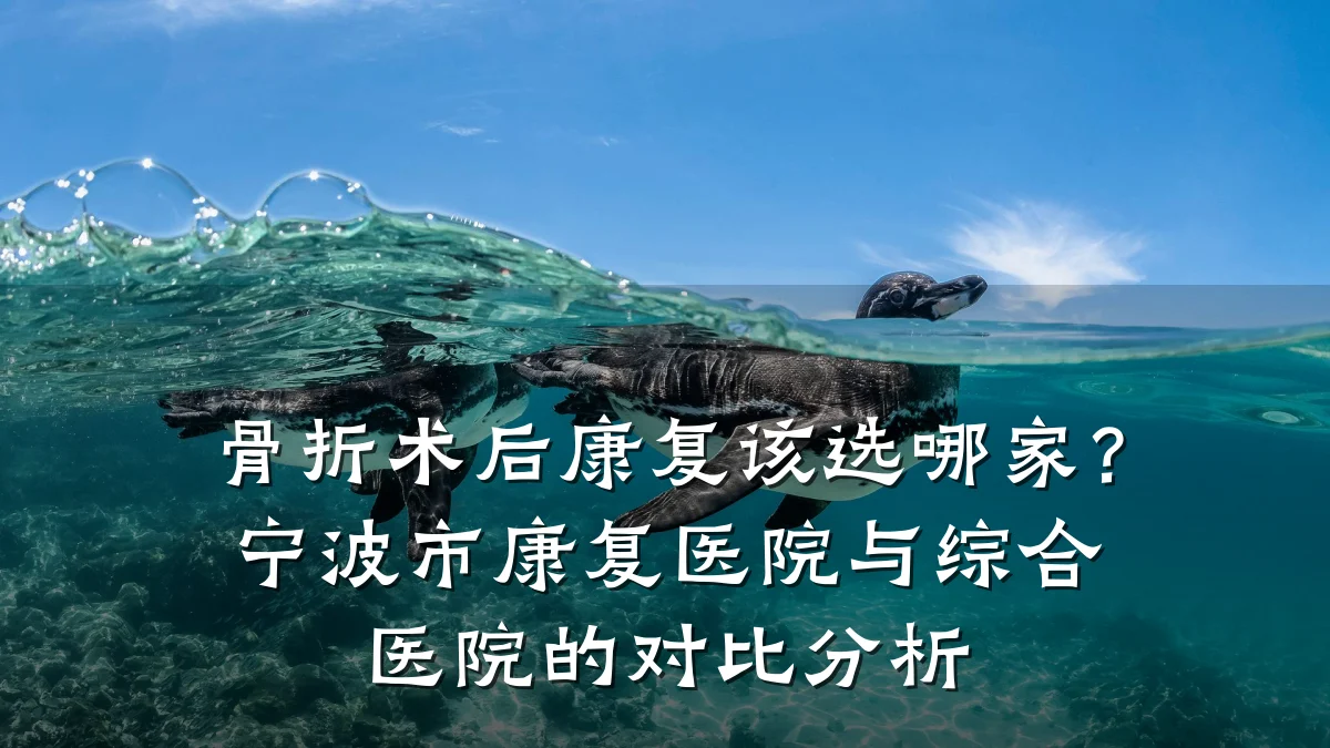 骨折术后康复该选哪家？宁波市康复医院与综合医院的对比分析