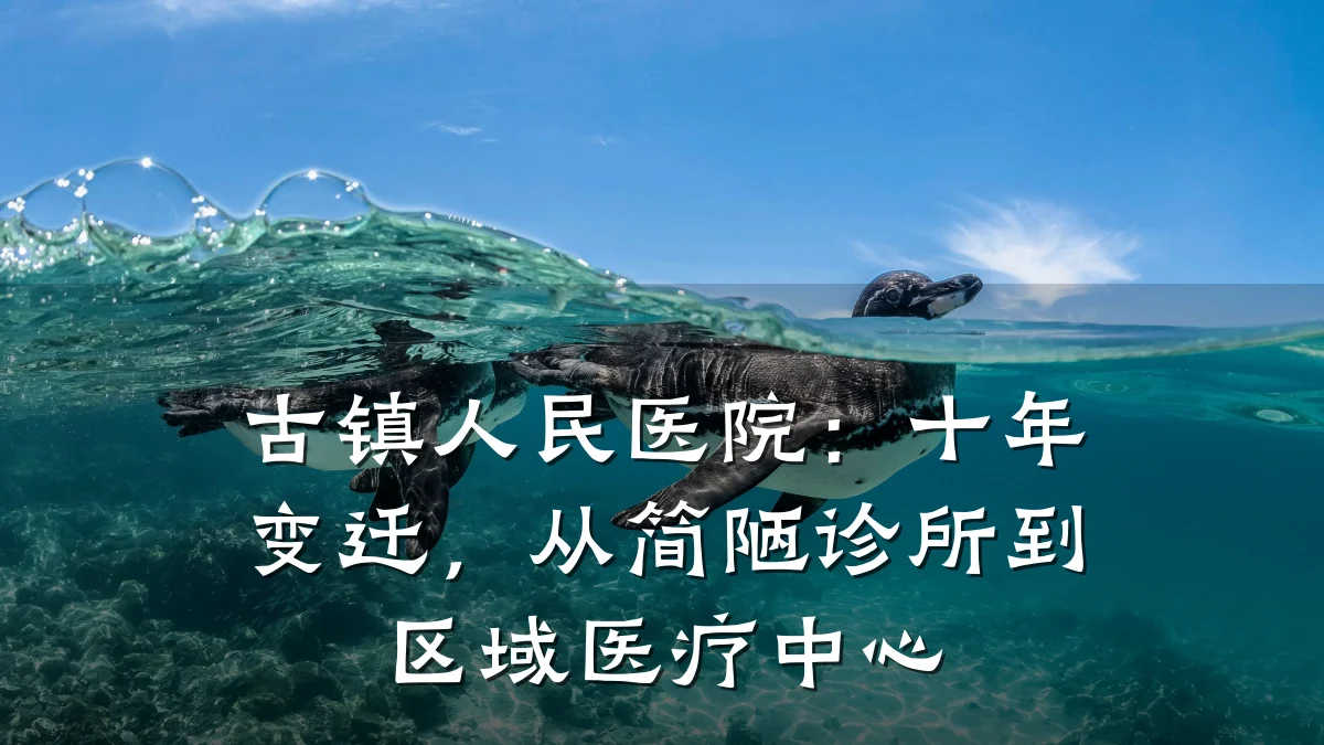 古镇人民医院：十年变迁，从简陋诊所到区域医疗中心