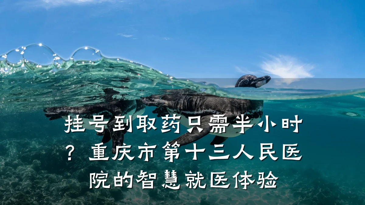 挂号到取药只需半小时？重庆市第十三人民医院的智慧就医体验
