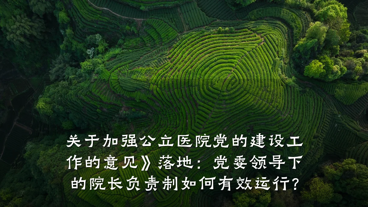 关于加强公立医院党的建设工作的意见》落地：党委领导下的院长负责制如何有效运行？