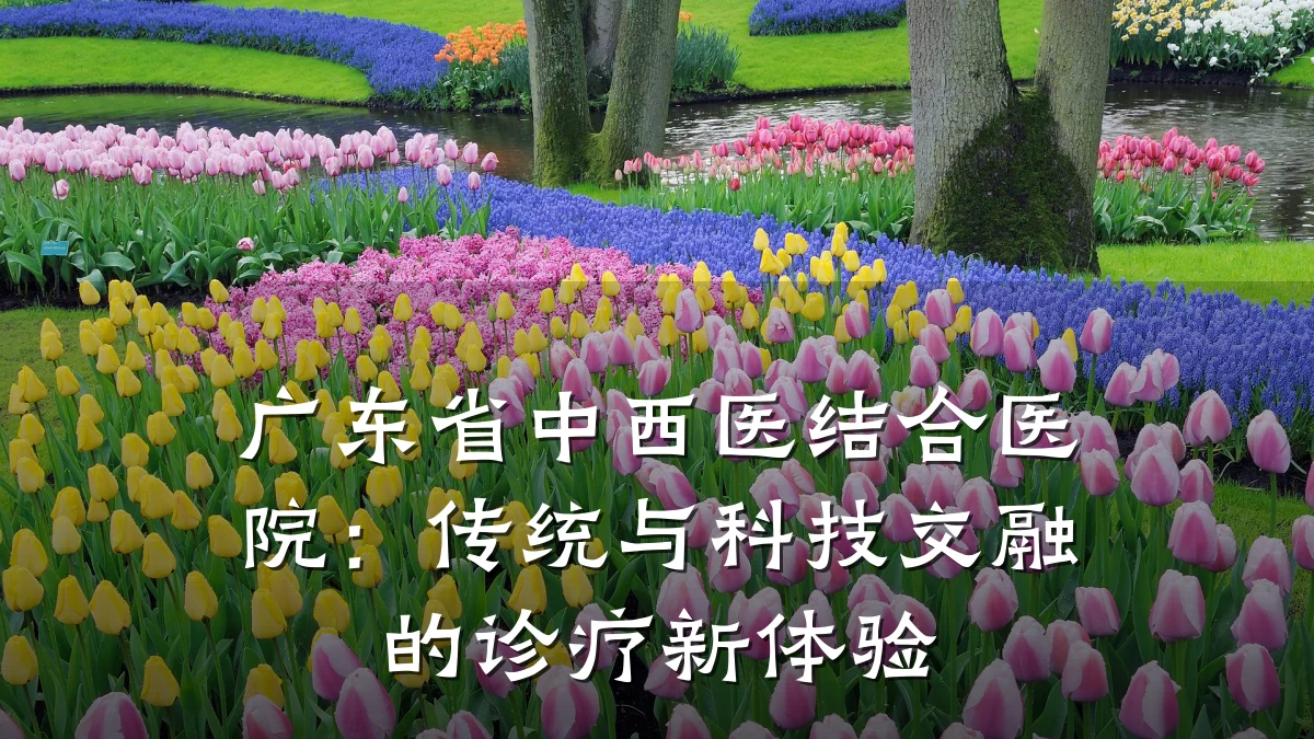 广东省中西医结合医院:传统与科技交融的诊疗新体验