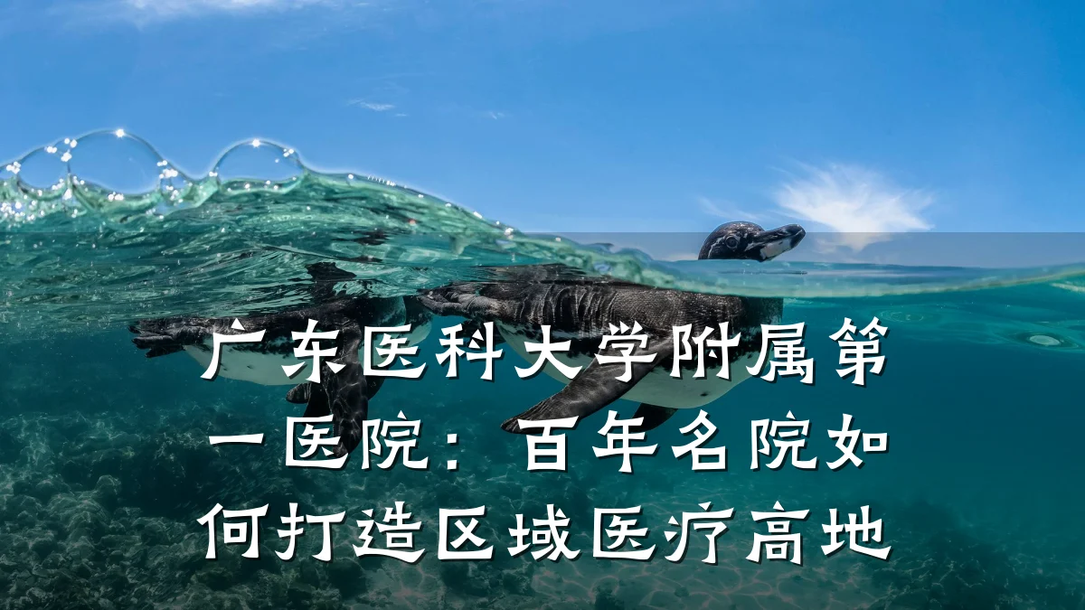 广东医科大学附属第一医院：百年名院如何打造区域医疗高地
