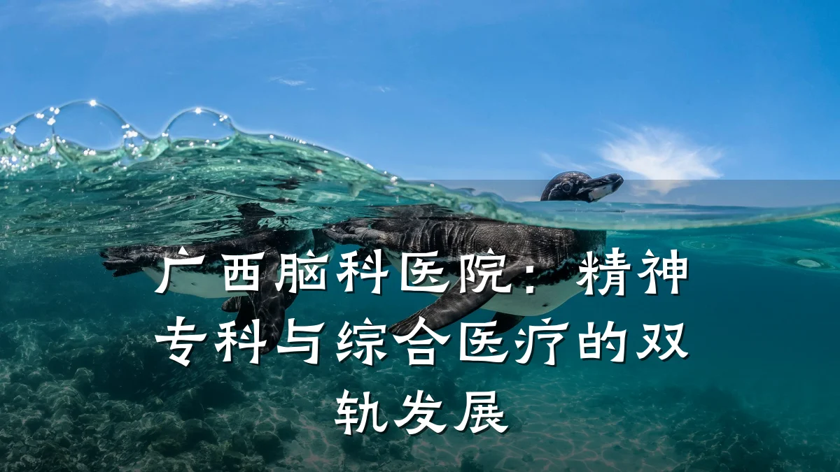 广西脑科医院:精神专科与综合医疗的双轨发展
