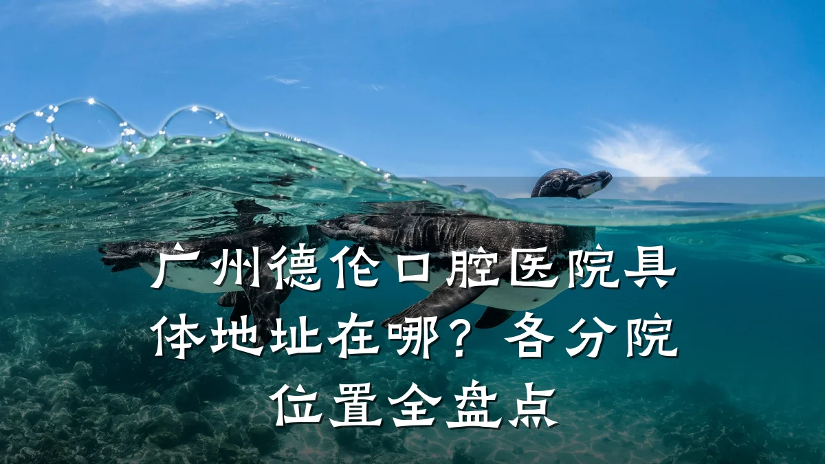 广州德伦口腔医院具体地址在哪？各分院位置全盘点