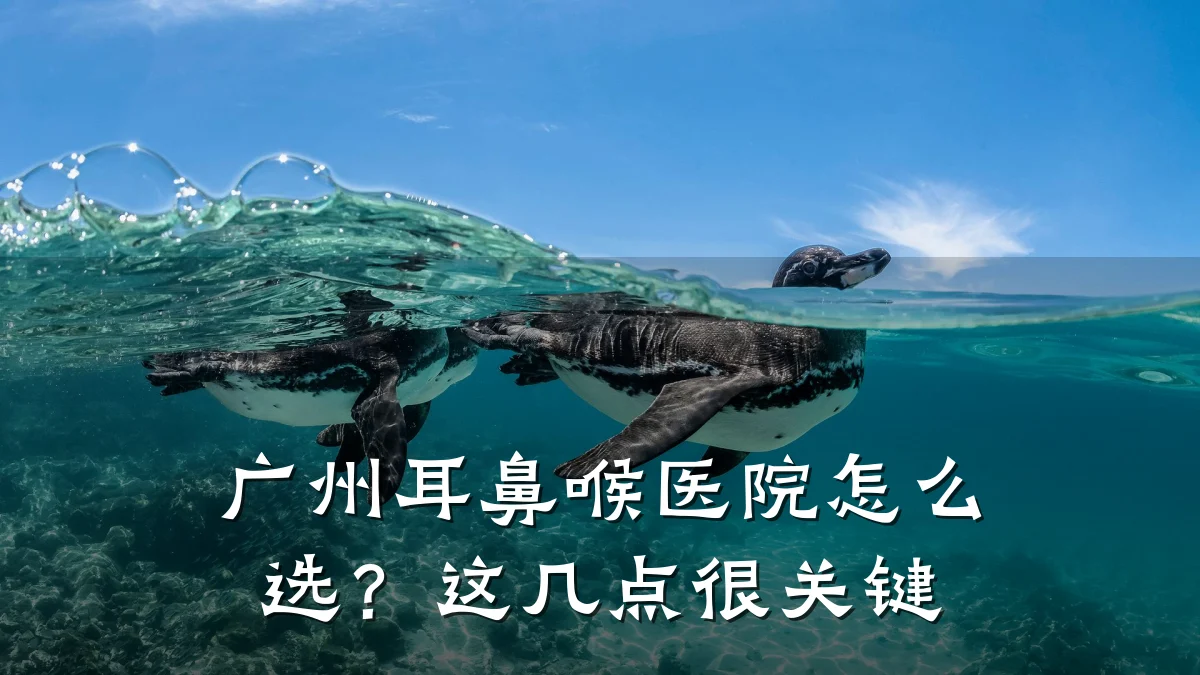广州耳鼻喉医院怎么选？这几点很关键