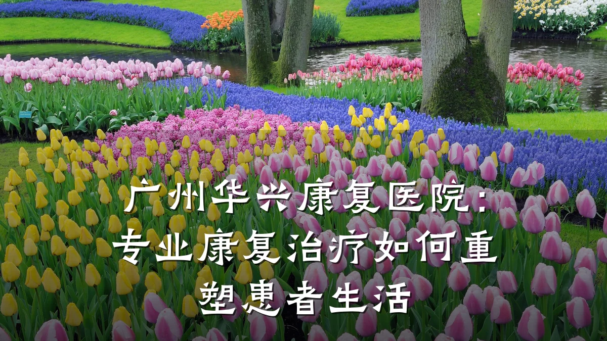 广州华兴康复医院：专业康复治疗如何重塑患者生活