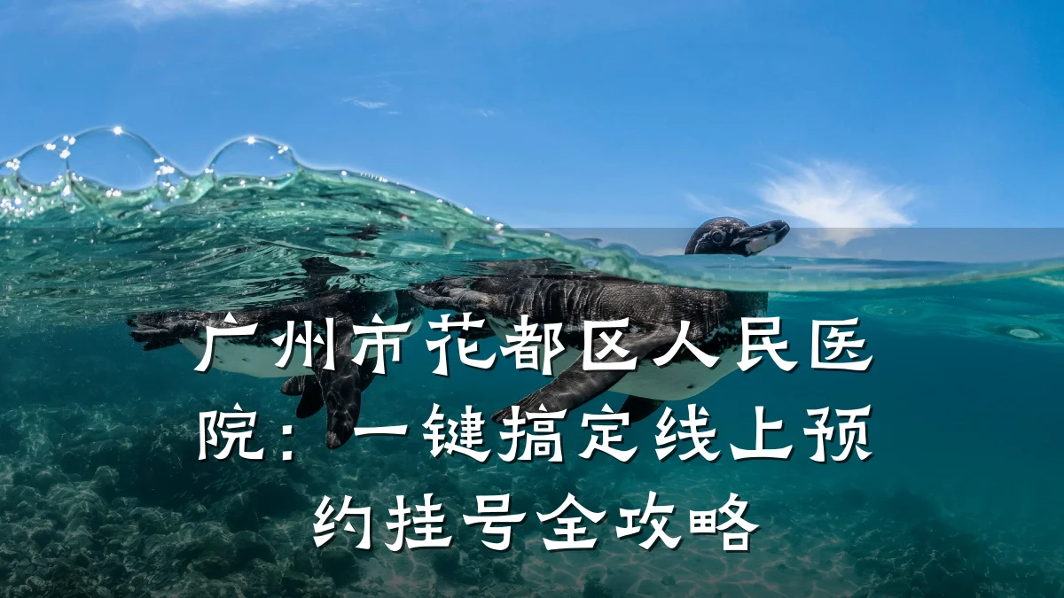 广州市花都区人民医院:一键搞定线上预约挂号全攻略