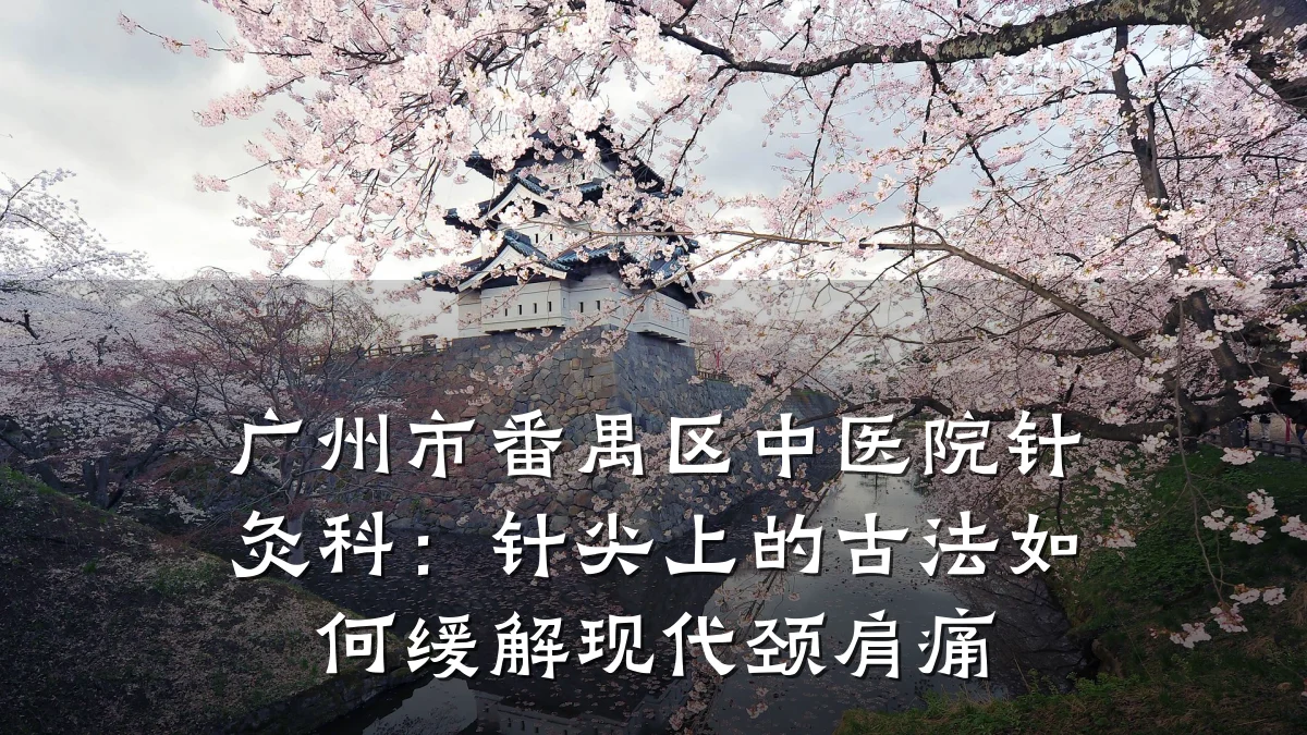 广州市番禺区中医院针灸科:针尖上的古法如何缓解现代颈肩痛