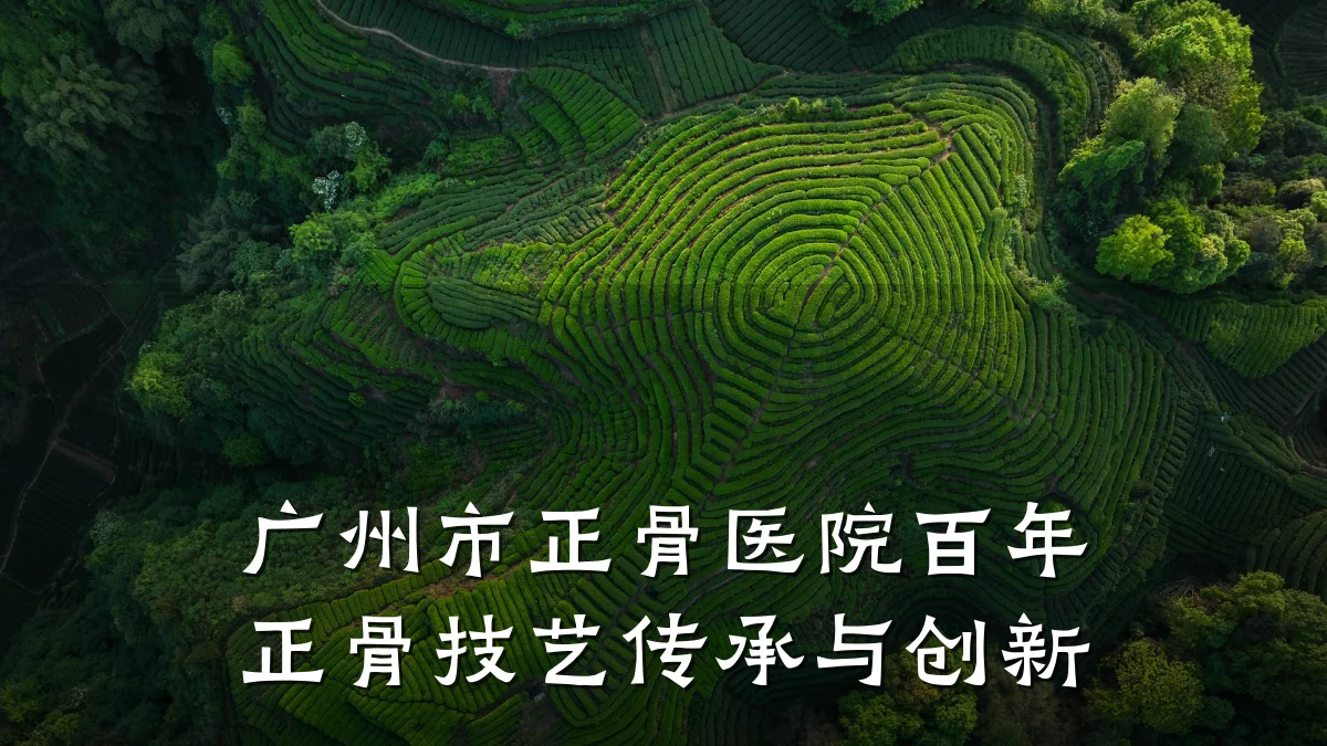 广州市正骨医院百年正骨技艺传承与创新