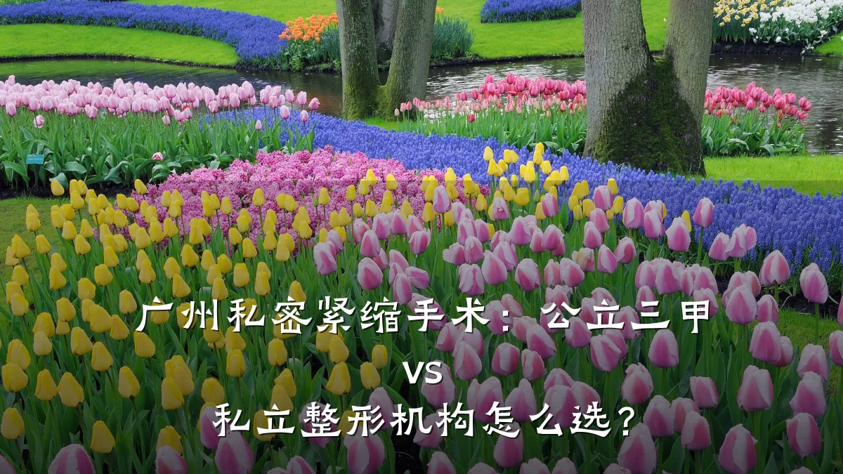 广州私密紧缩手术:公立三甲 vs 私立整形机构怎么选?