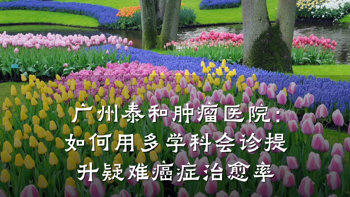广州泰和肿瘤医院:如何用多学科会诊提升疑难癌症治愈率