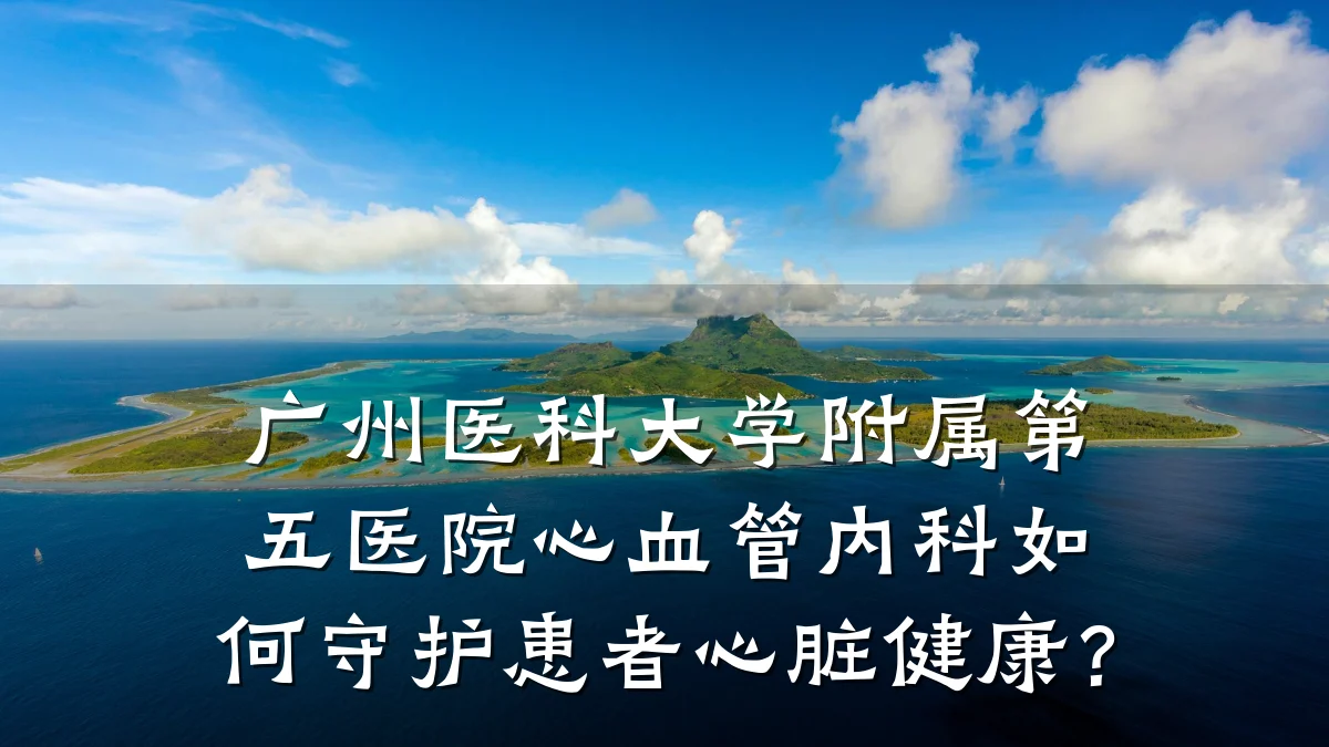 广州医科大学附属第五医院心血管内科如何守护患者心脏健康？