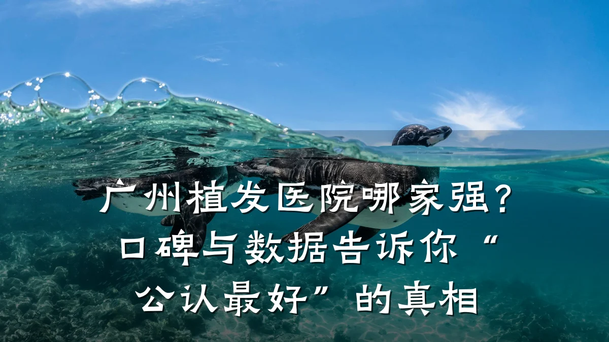 广州植发医院哪家强?口碑与数据告诉你“公认最好”的真相