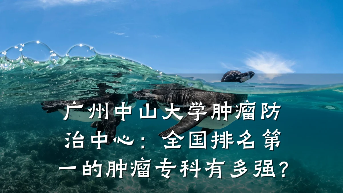 广州中山大学肿瘤防治中心:全国排名第一的肿瘤专科有多强?