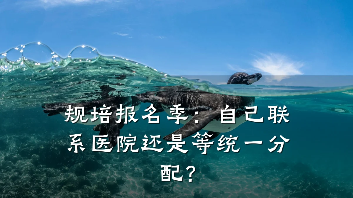 规培报名季：自己联系医院还是等统一分配？