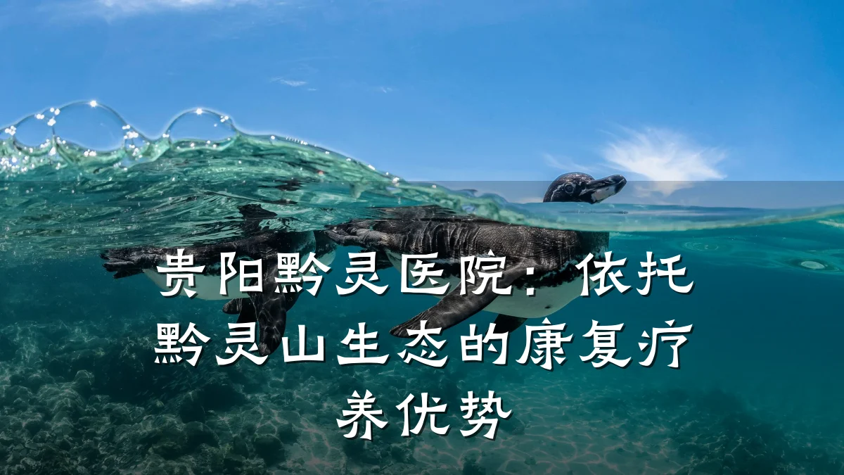 贵阳黔灵医院:依托黔灵山生态的康复疗养优势
