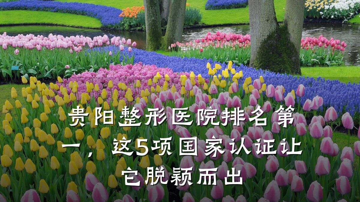 贵阳整形医院排名第一,这5项国家认证让它脱颖而出