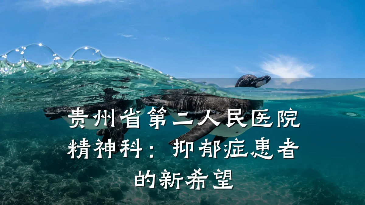 贵州省第二人民医院精神科:抑郁症患者的新希望