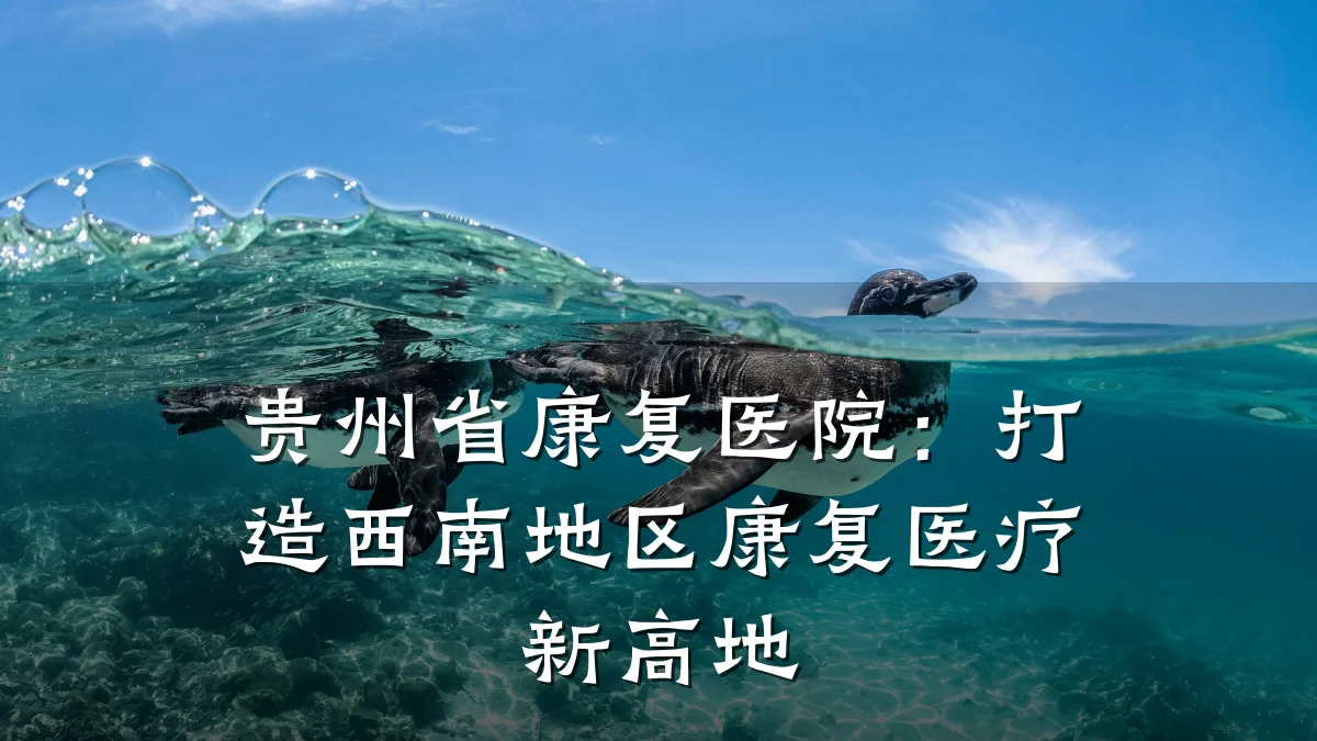 贵州省康复医院:打造西南地区康复医疗新高地