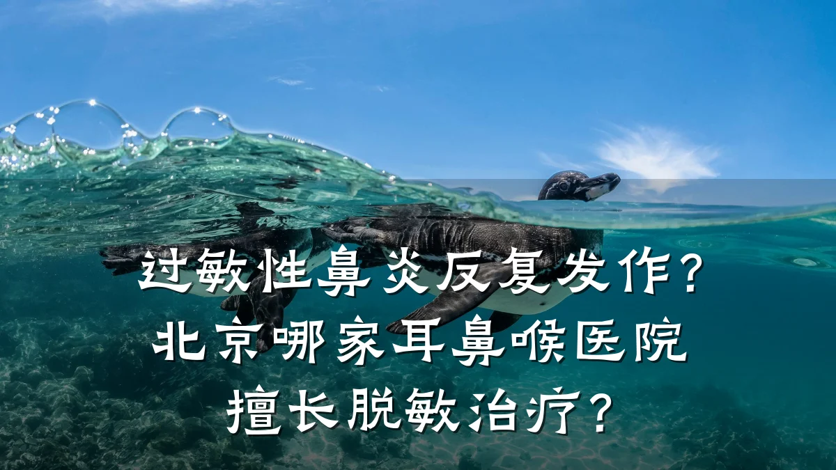 过敏性鼻炎反复发作？北京哪家耳鼻喉医院擅长脱敏治疗？