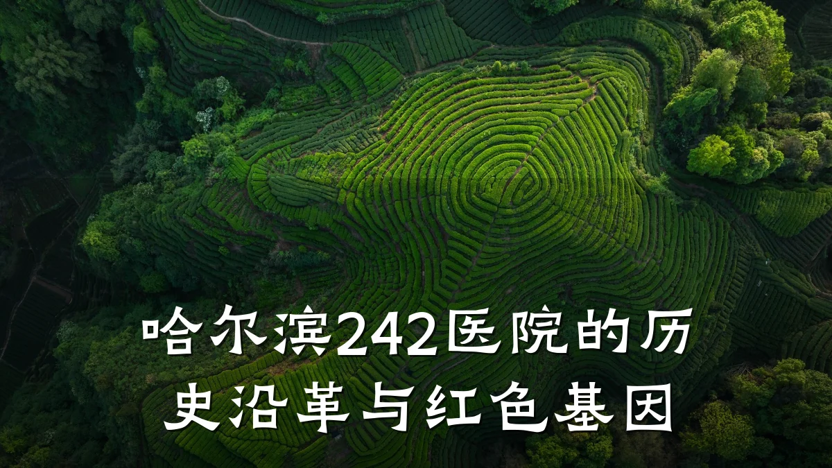哈尔滨242医院的历史沿革与红色基因