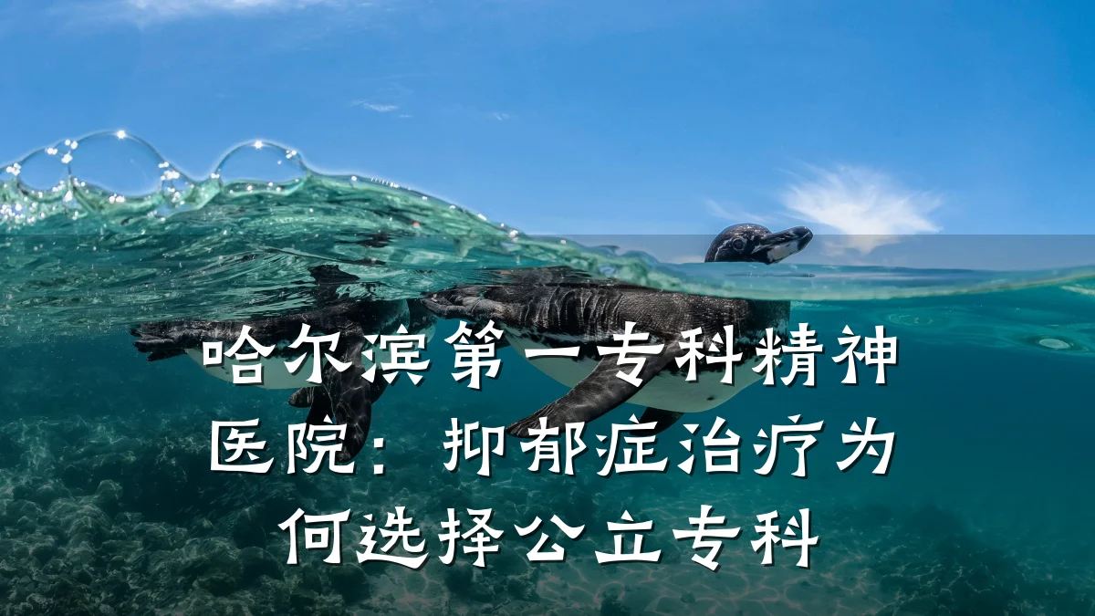 哈尔滨第一专科精神医院:抑郁症治疗为何选择公立专科