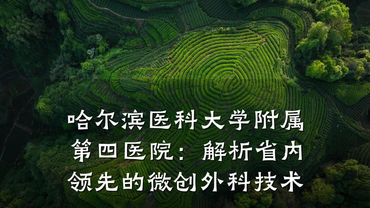 哈尔滨医科大学附属第四医院：解析省内领先的微创外科技术