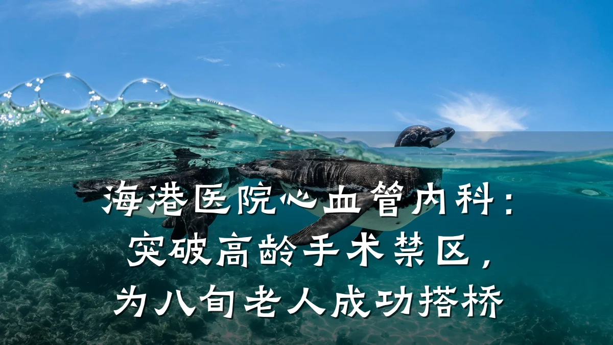 海港医院心血管内科:突破高龄手术禁区,为八旬老人成功搭桥