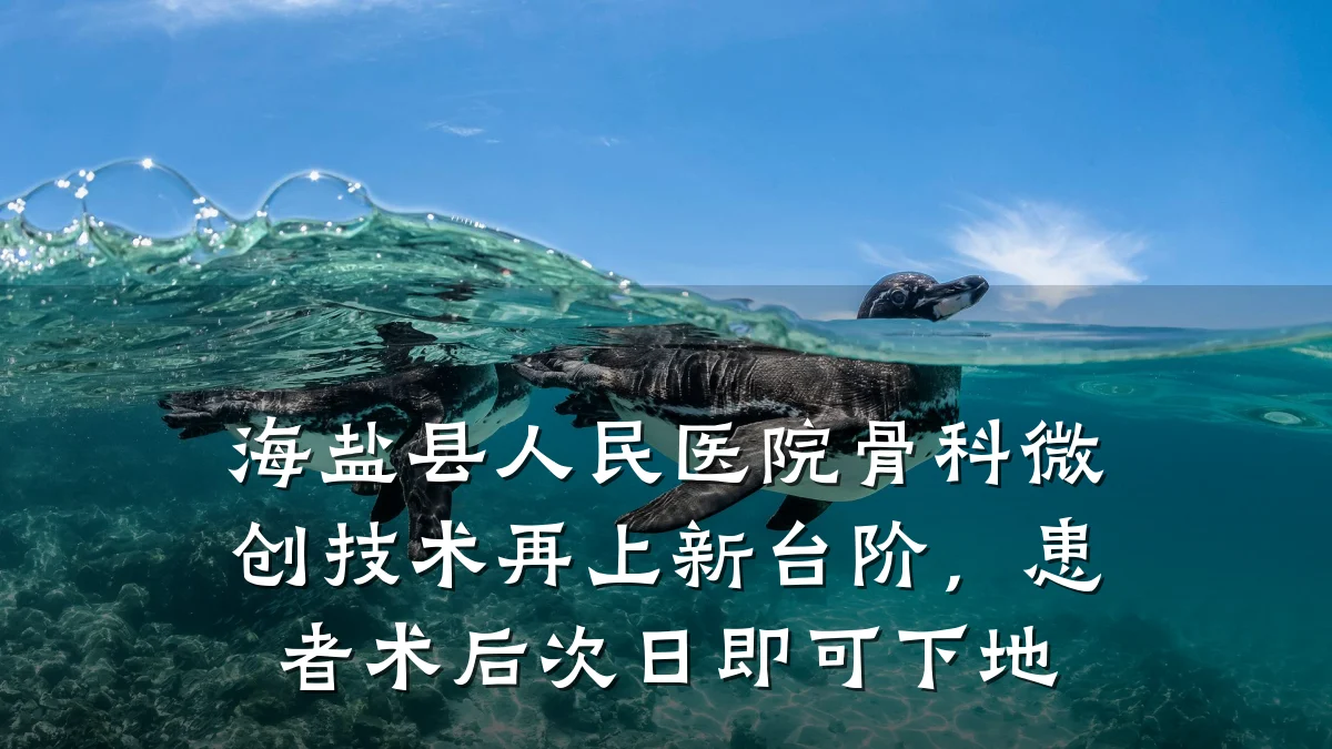 海盐县人民医院骨科微创技术再上新台阶，患者术后次日即可下地