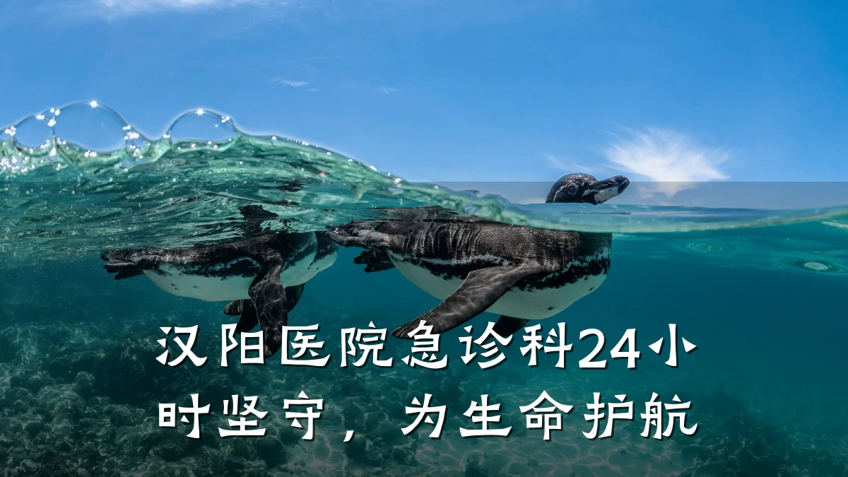 汉阳医院急诊科24小时坚守,为生命护航