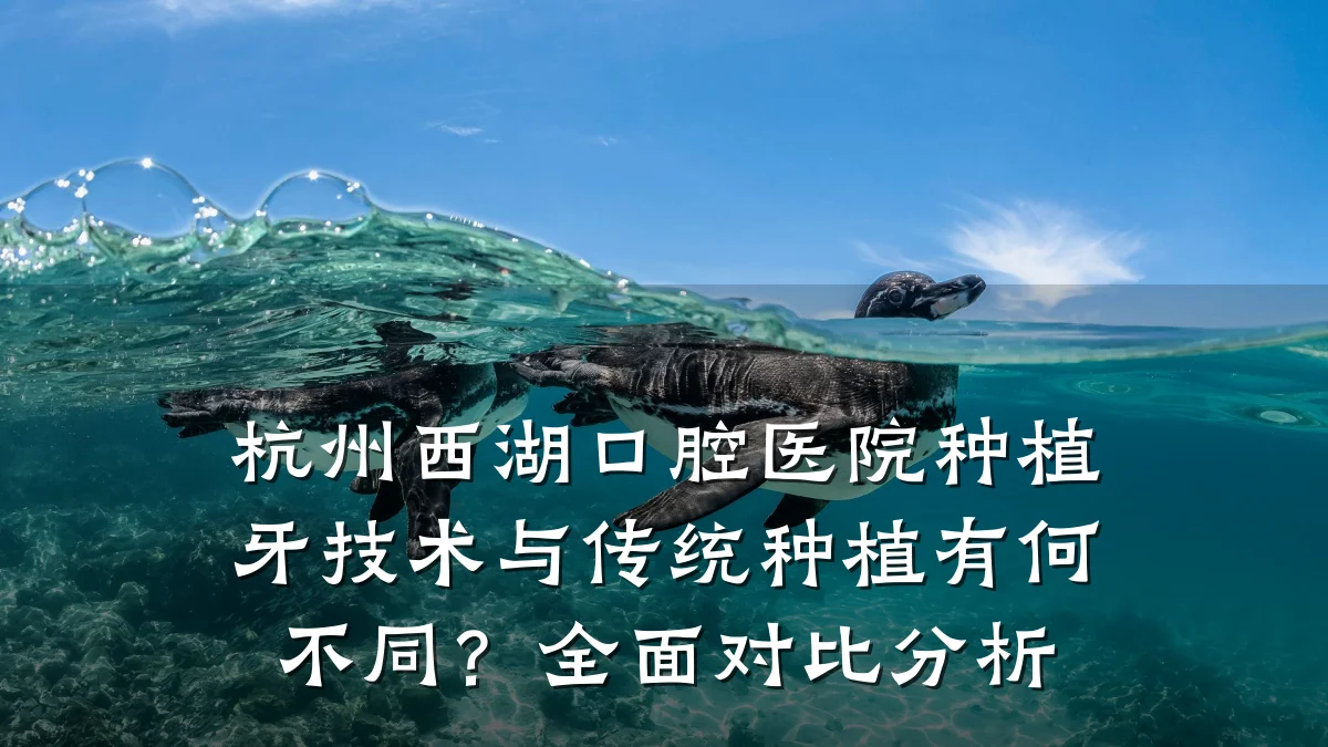 杭州西湖口腔医院种植牙技术与传统种植有何不同?全面对比分析