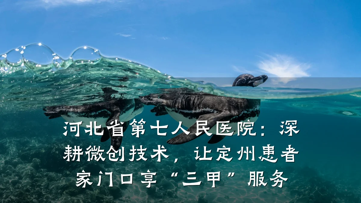 河北省第七人民医院：深耕微创技术，让定州患者家门口享“三甲”服务