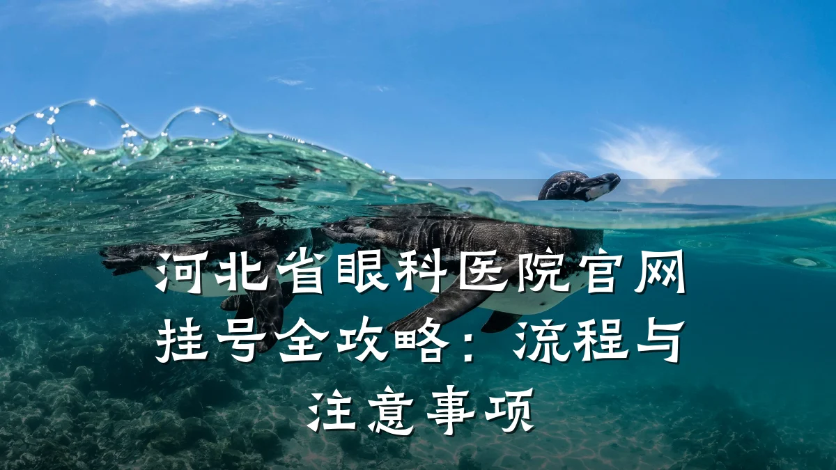 河北省眼科医院官网挂号全攻略：流程与注意事项