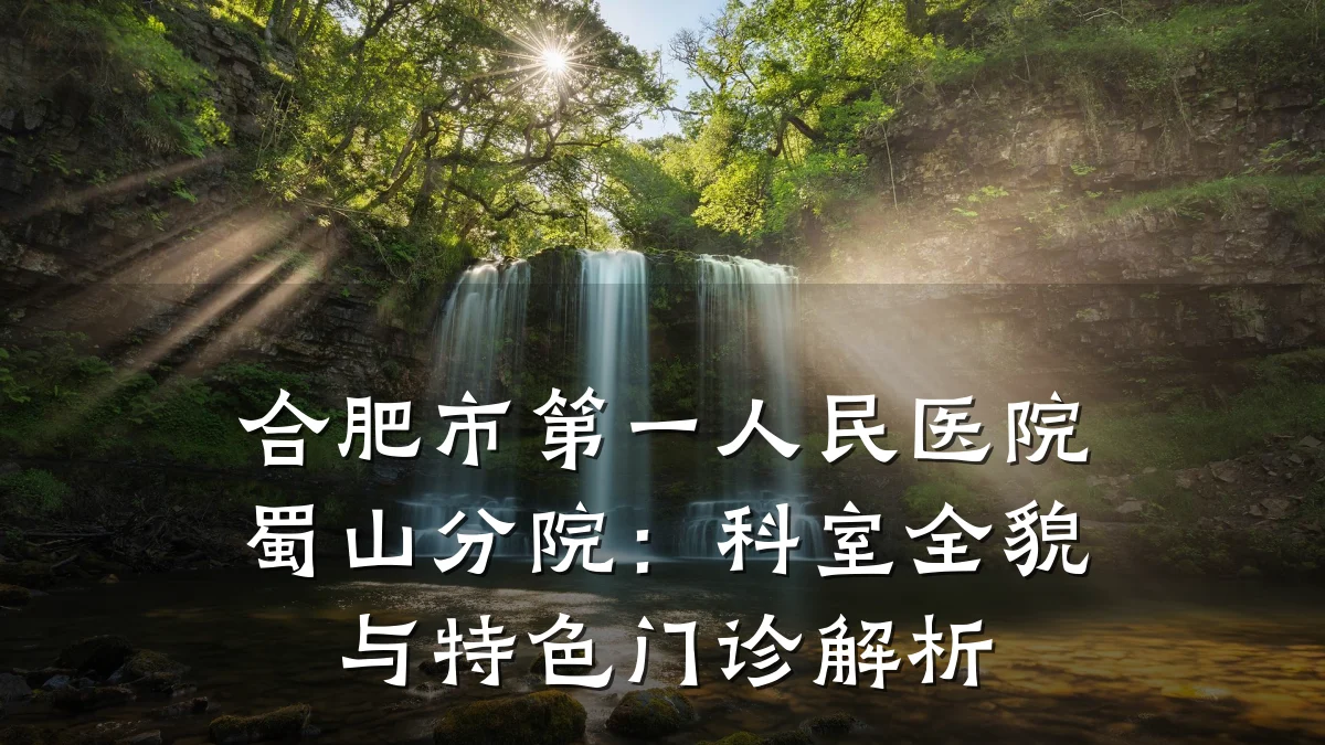 合肥市第一人民医院蜀山分院：科室全貌与特色门诊解析