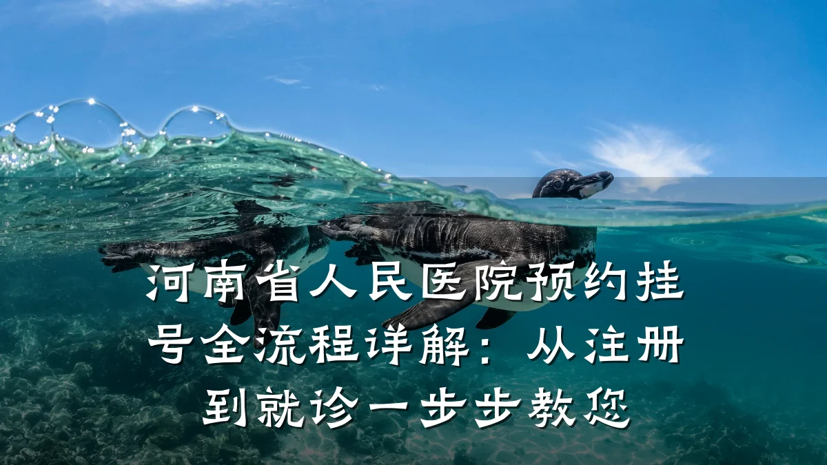 河南省人民医院预约挂号全流程详解：从注册到就诊一步步教您