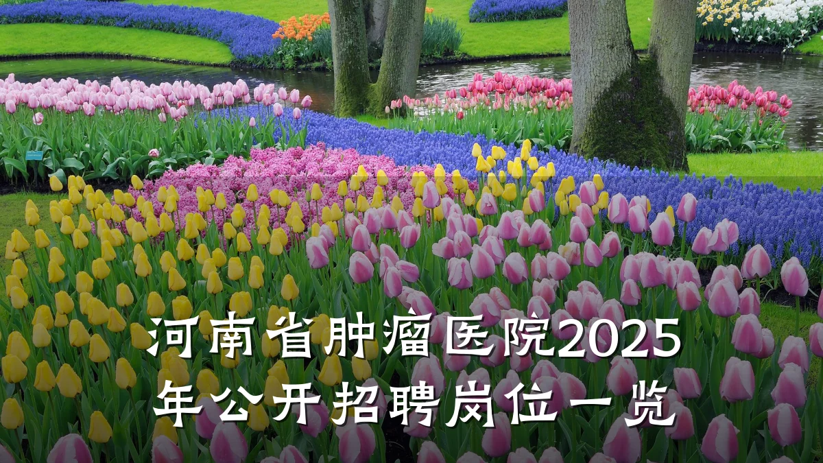 河南省肿瘤医院2025年公开招聘岗位一览