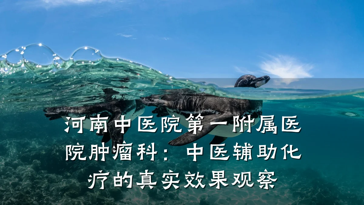 河南中医院第一附属医院肿瘤科:中医辅助化疗的真实效果观察