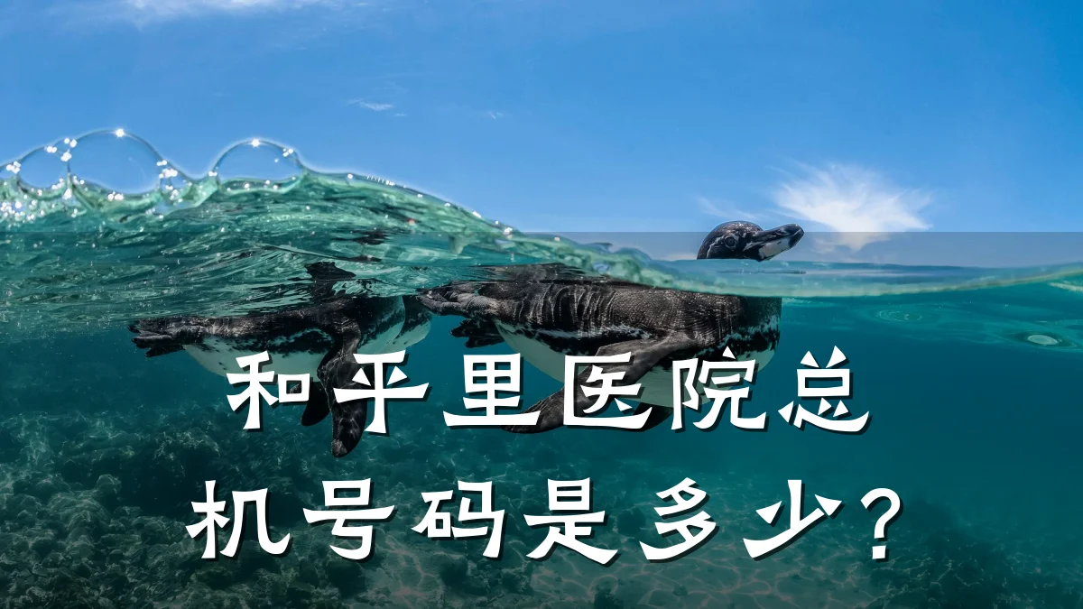 和平里医院总机号码是多少？