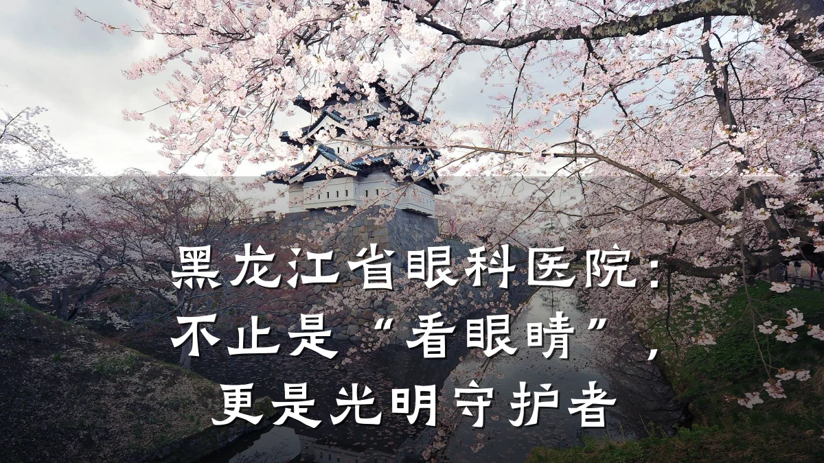 黑龙江省眼科医院:不止是“看眼睛”,更是光明守护者