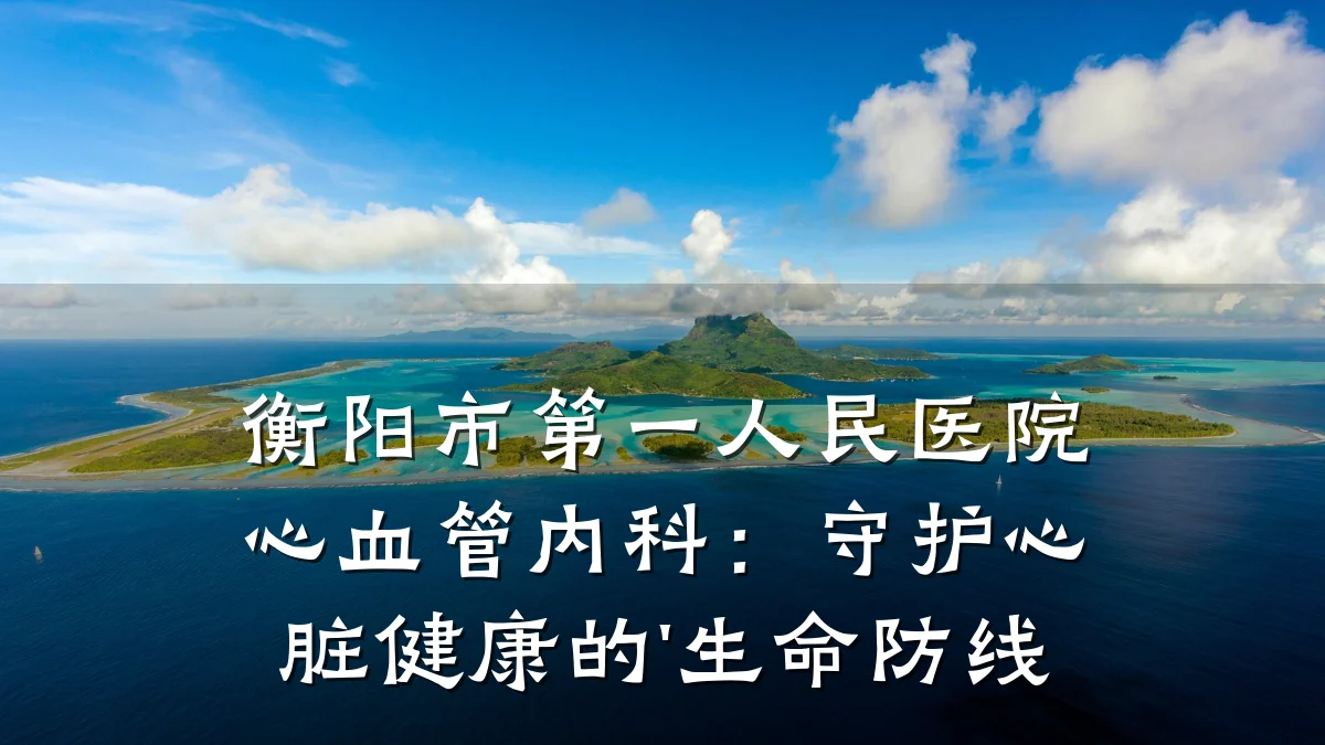 衡阳市第一人民医院心血管内科:守护心脏健康的'生命防线