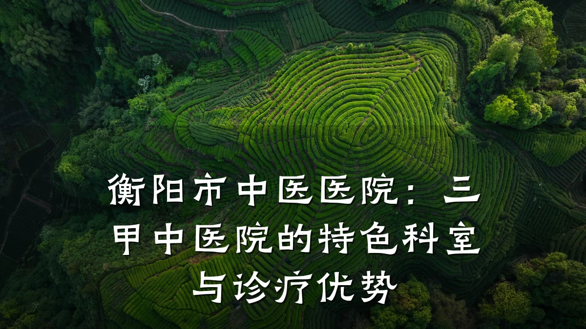 衡阳市中医医院：三甲中医院的特色科室与诊疗优势