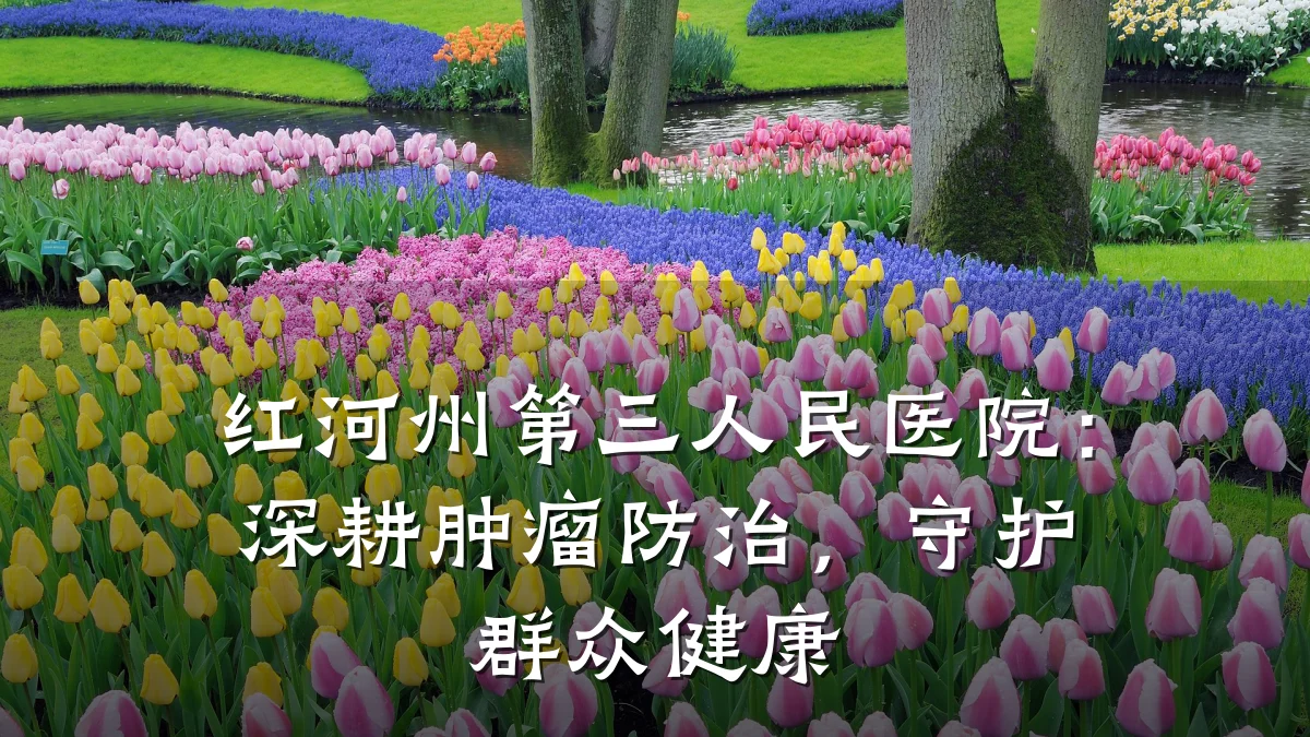 红河州第三人民医院：深耕肿瘤防治，守护群众健康