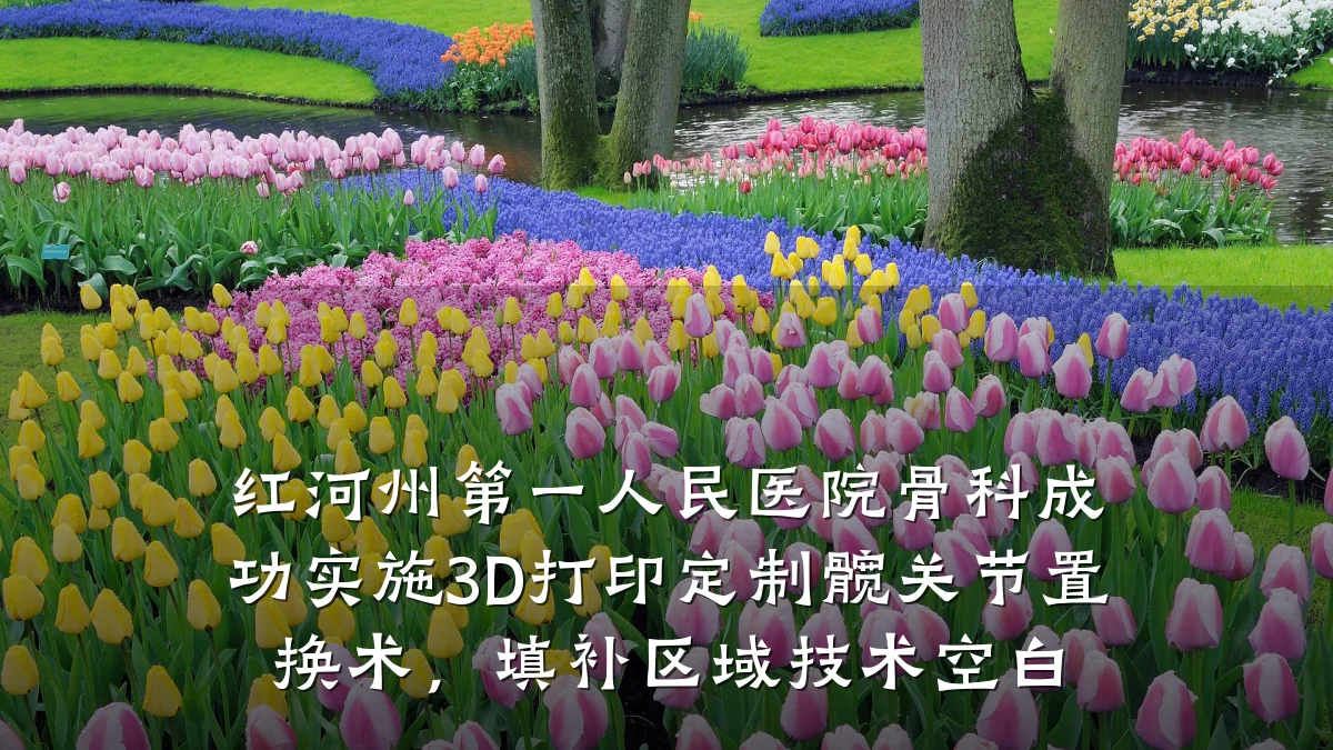 红河州第一人民医院骨科成功实施3D打印定制髋关节置换术，填补区域技术空白