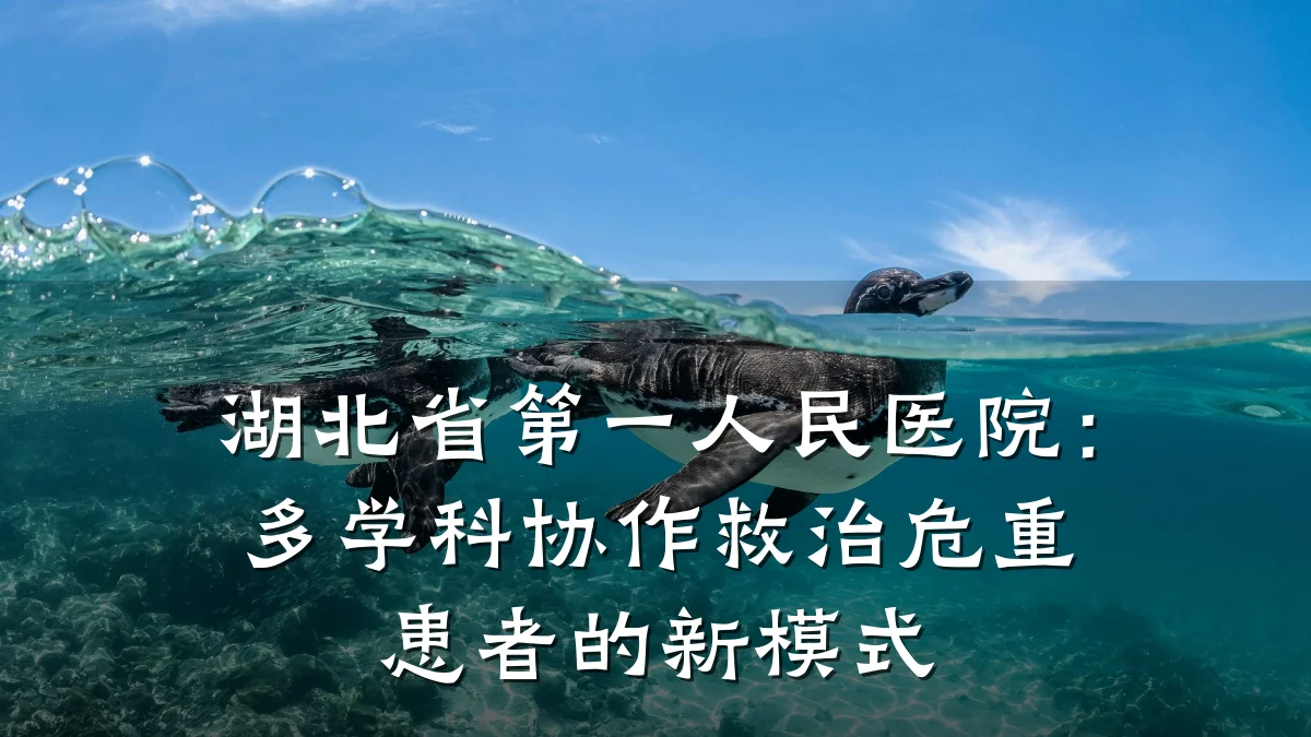 湖北省第一人民医院：多学科协作救治危重患者的新模式