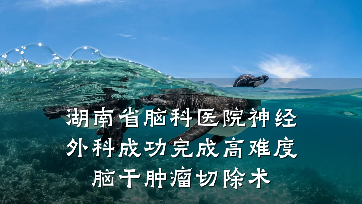 湖南省脑科医院神经外科成功完成高难度脑干肿瘤切除术