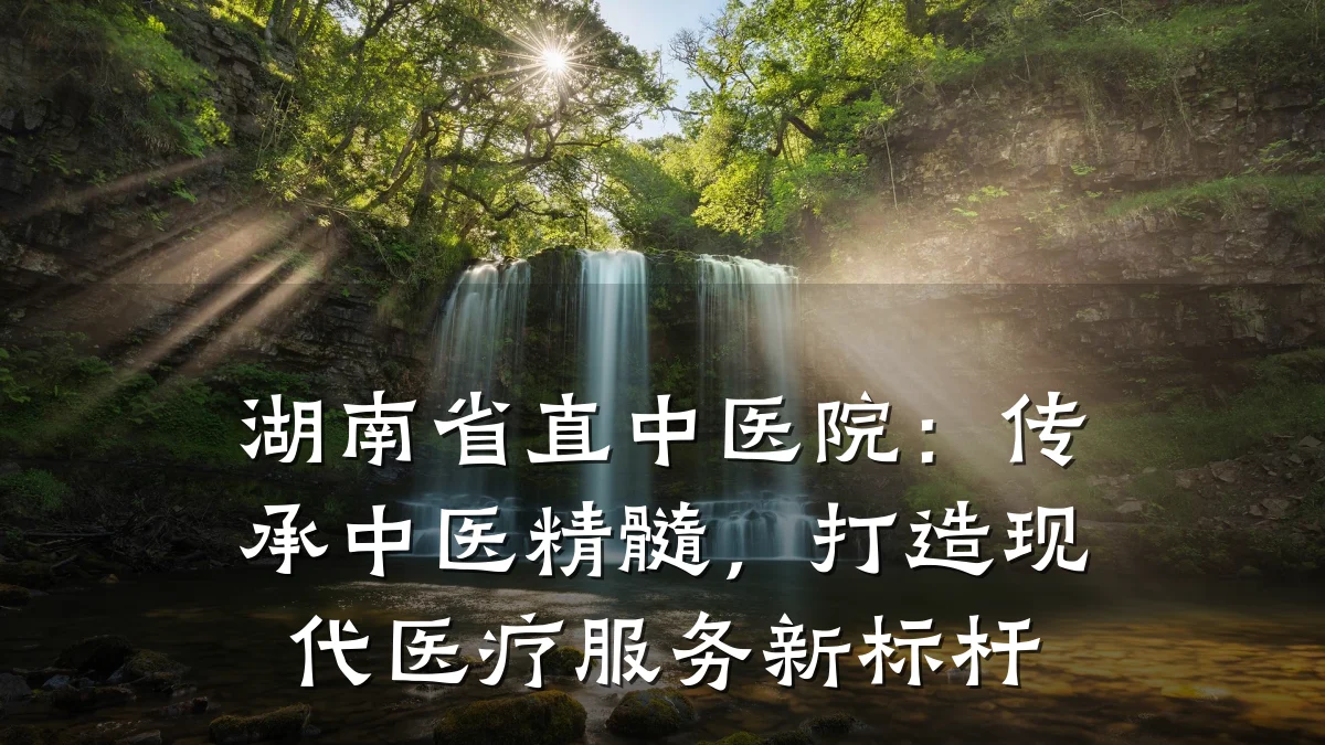 湖南省直中医院:传承中医精髓,打造现代医疗服务新标杆