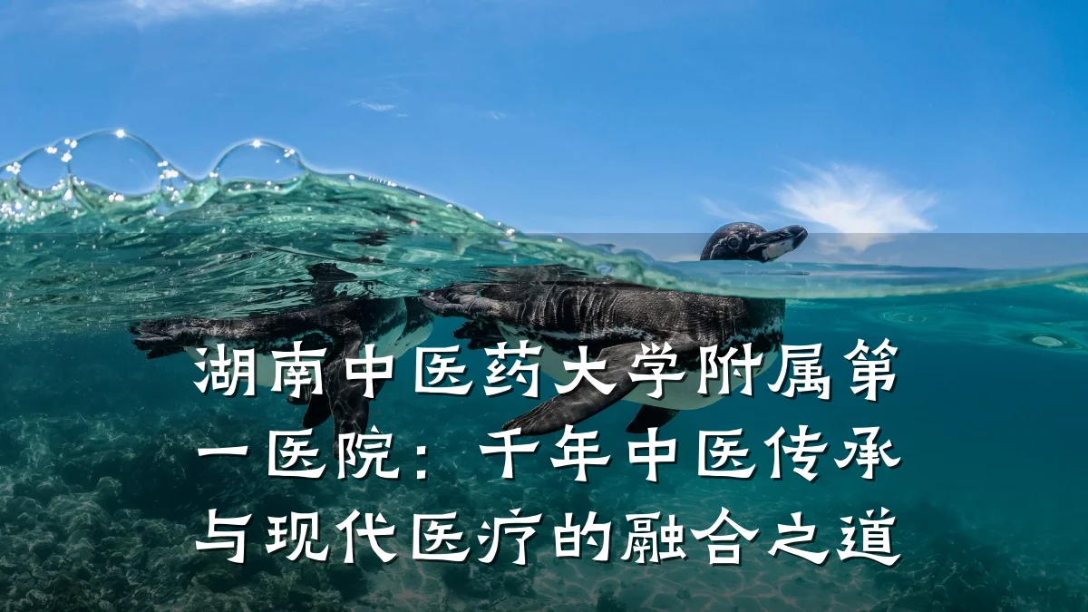 湖南中医药大学附属第一医院：千年中医传承与现代医疗的融合之道